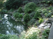 DSC08205.JPG